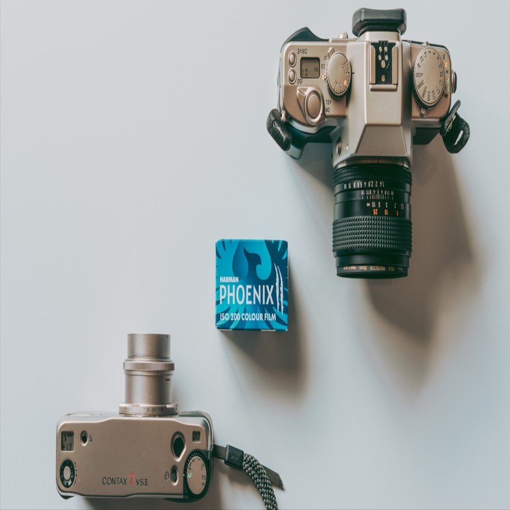 Harman Phoenix Ⅱ 200というフィルムについて。｜Kenta Mizune