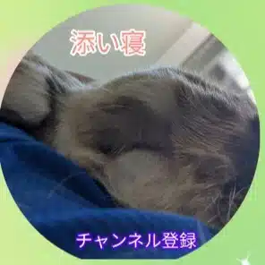 Qumiteshia / キュミテシア | 人生の攻略