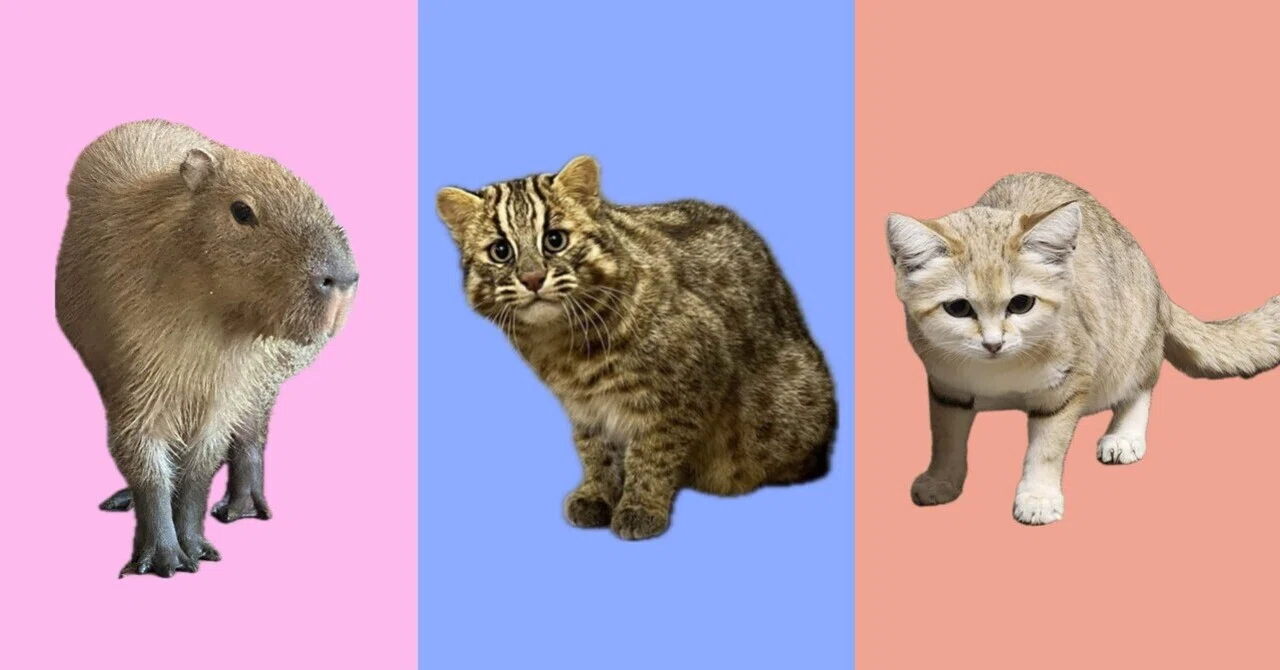 新たに仲間入りした動物たち！｜那須どうぶつ王国公式note