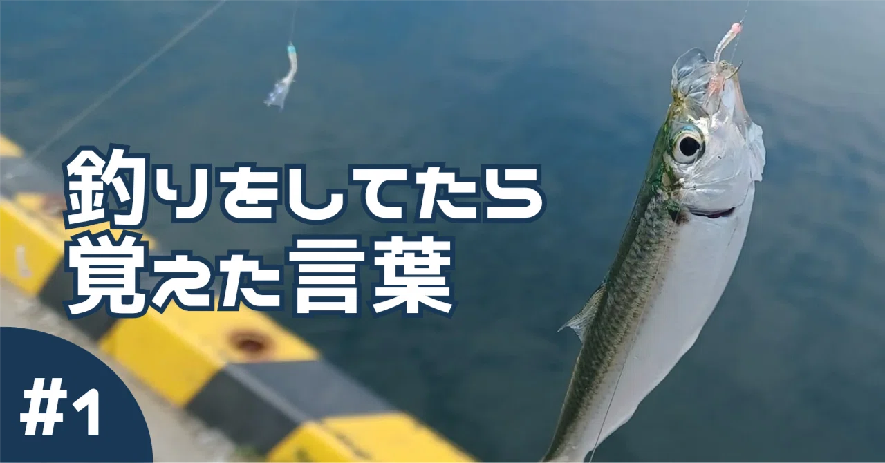 釣りをしてたら覚えた言葉 #1 「ボウズ」｜rtaka
