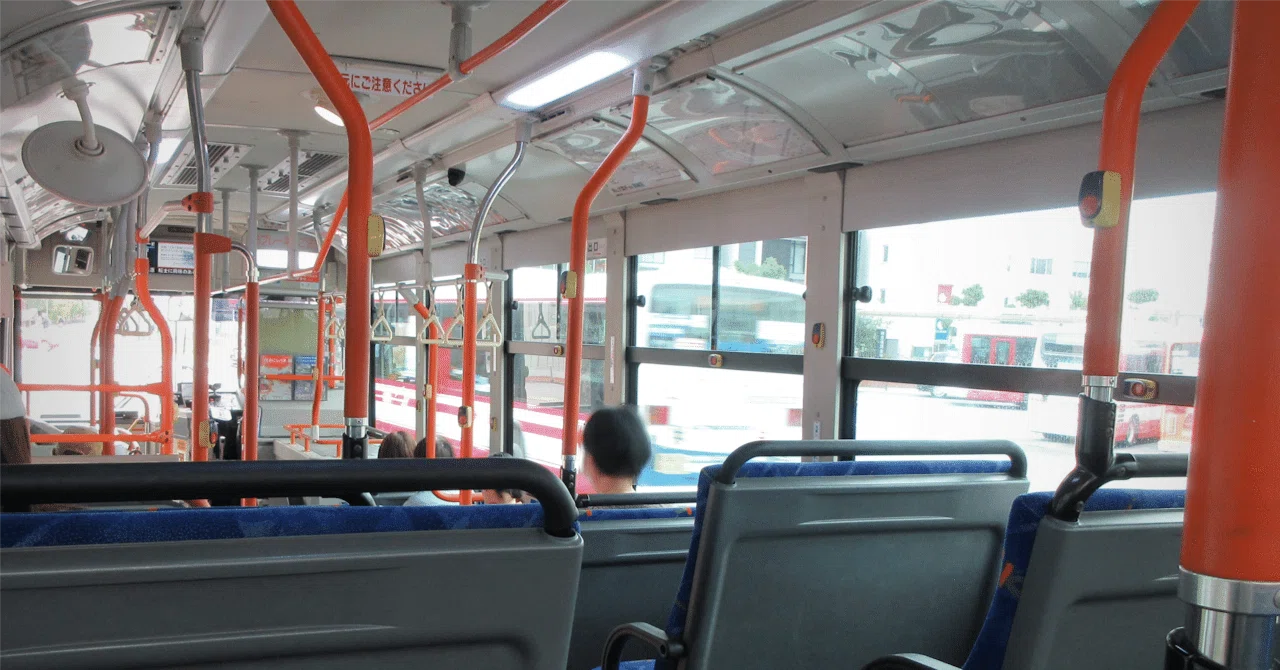 There is a road, but no bus runs on it: The realistic solution of a ...