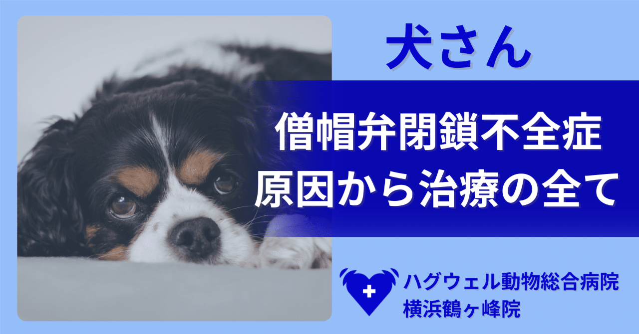 総合診療に役立つ獣医循環器診療シリーズ 犬の僧帽弁閉鎖不全症【裁断済み】 総合診療に役立つ獣医循環器診療シリーズ 犬の僧｜EDUWARD eBook