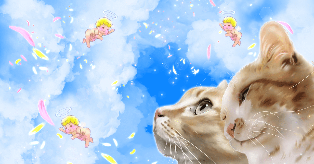 ぴーとらちゃん|ෆもふෆ