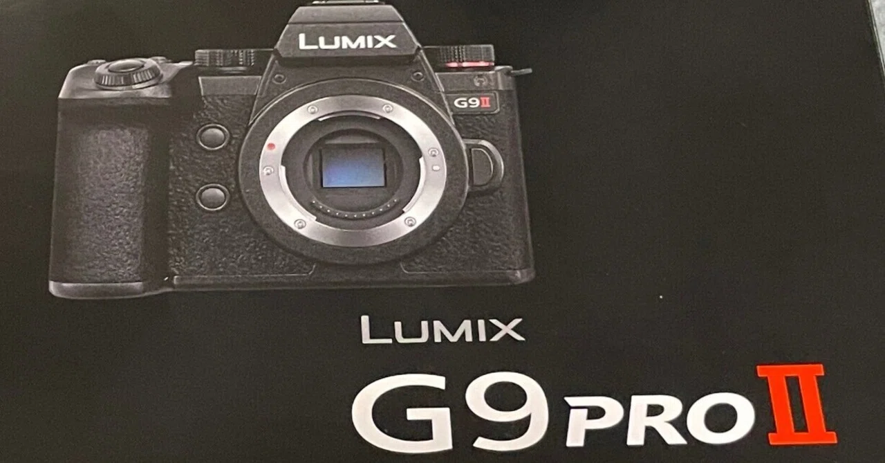 結局、LUMIX G9M2を買った話｜バツマルイ