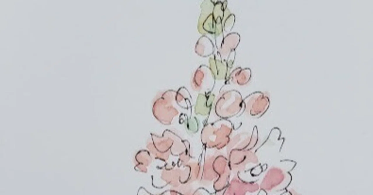 1月28日】お花🌸キンギョソウ（金魚草）｜こうこ