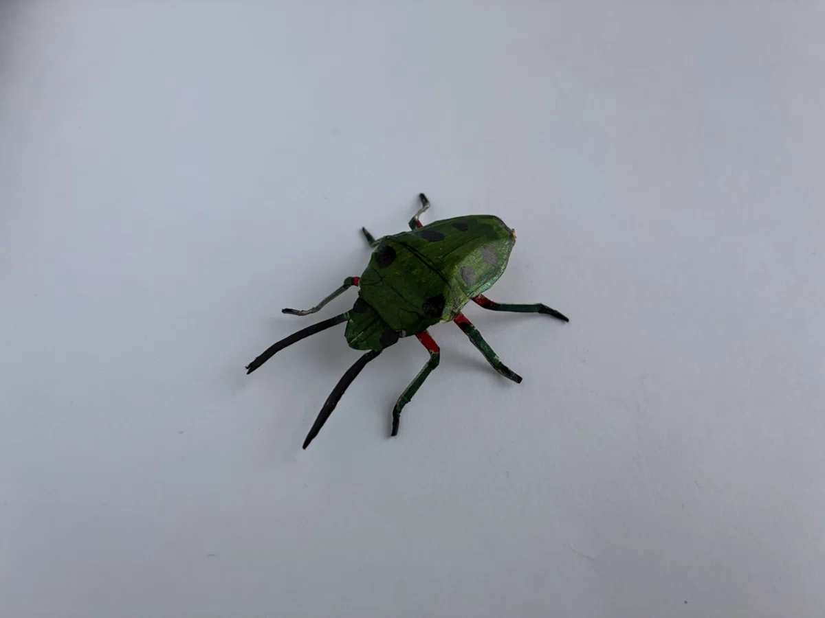 [Paper Shield Bugs #73] Philia miyakonus｜ふぇふぇ