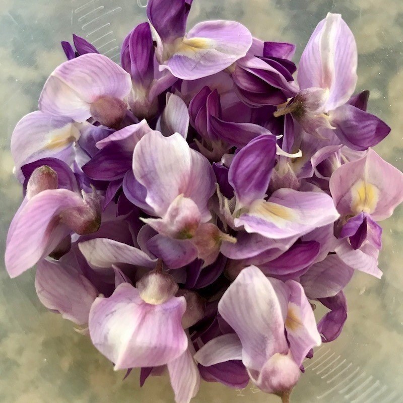 マジカルな味に驚く藤の花のコーディアル レシピ付き ヒガシリカ Note