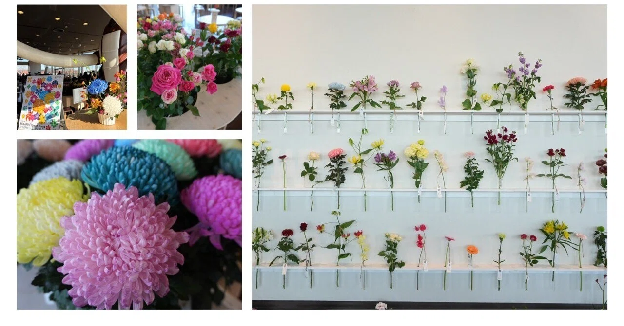 花きイベント取材・MINAMI Flower Days】日本一の花き産地、愛知県田原