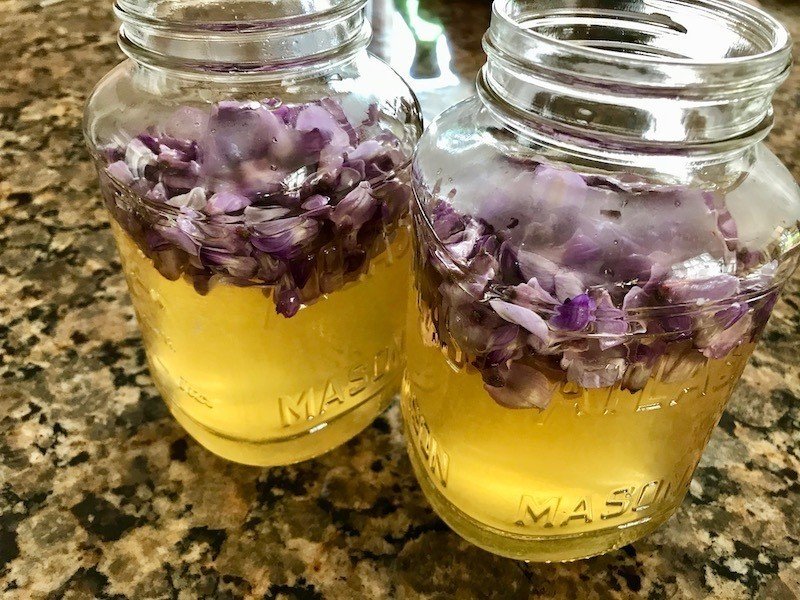 マジカルな味に驚く藤の花のコーディアル レシピ付き ヒガシリカ Note