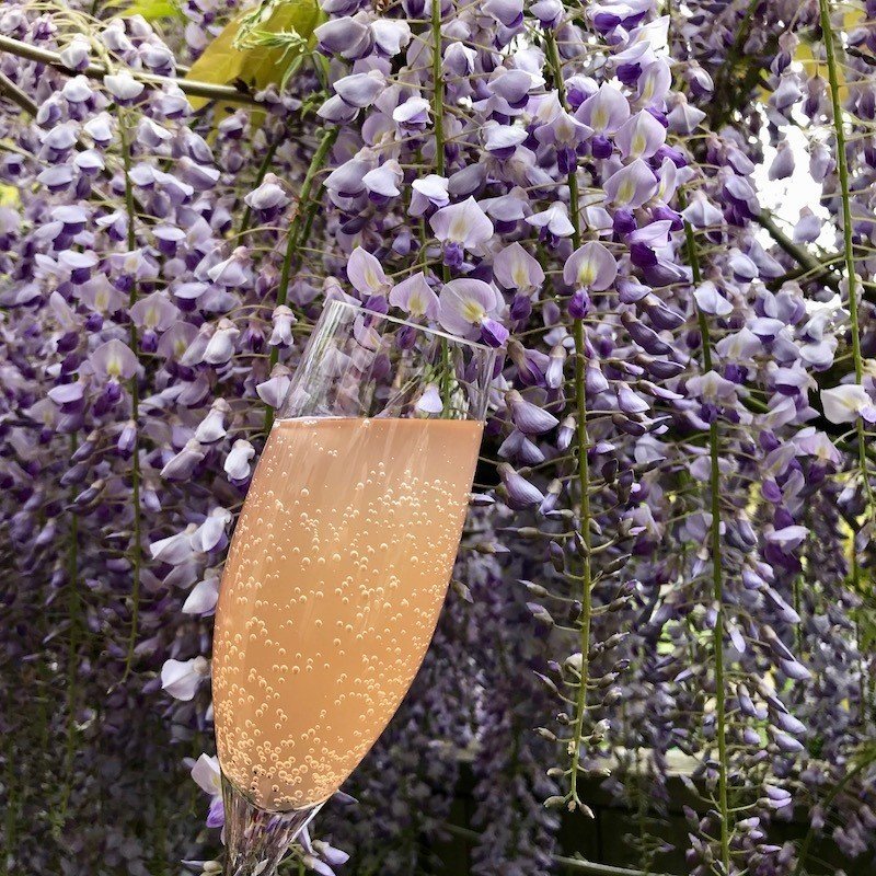 マジカルな味に驚く藤の花のコーディアル レシピ付き ヒガシリカ Note