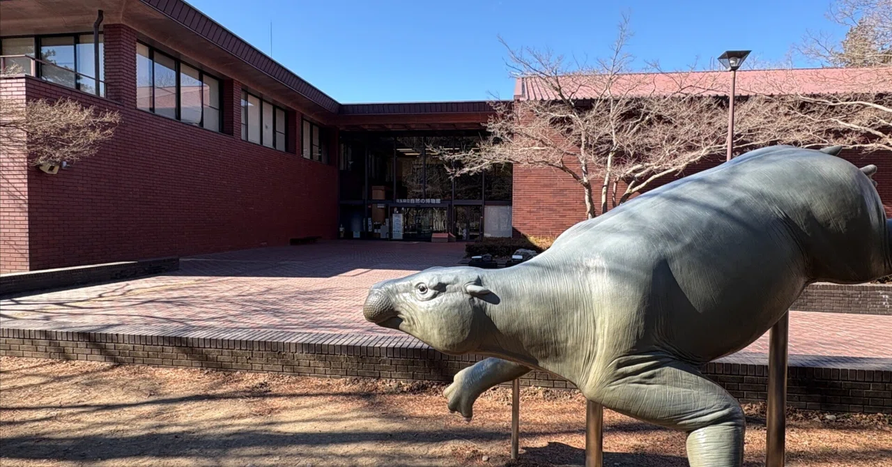 Fun at the Local Museum: Saitama Prefectural Museum of Natural