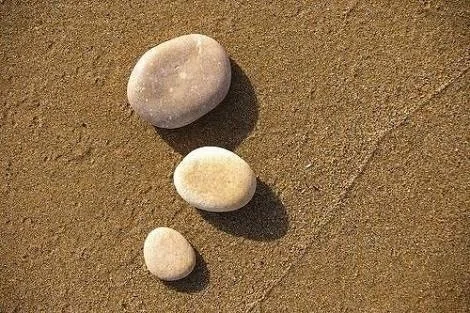 転がる石には苔が生えぬ|kochizu