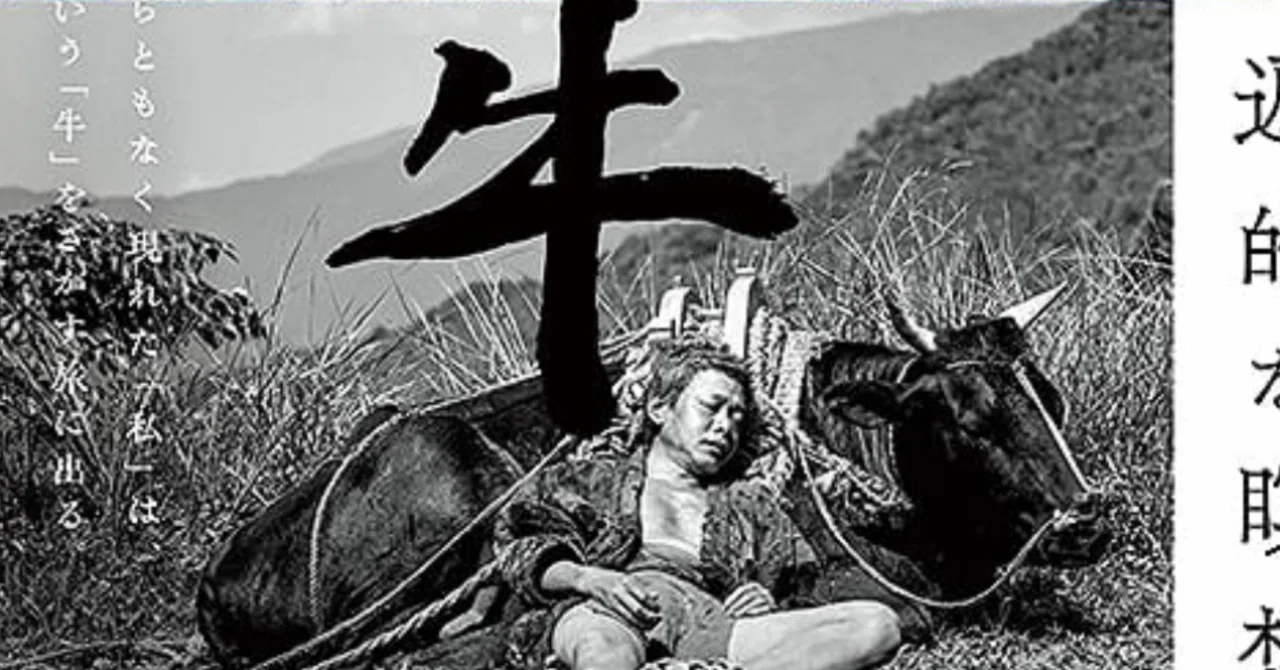 黒の牛(2025)｜TADASHI TAKEZAKI