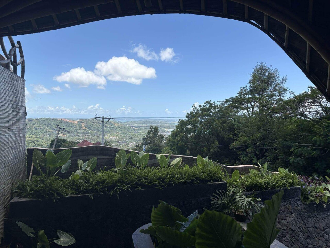 インドネシア 島暮らし 天気の良い日の自然｜マーガレット