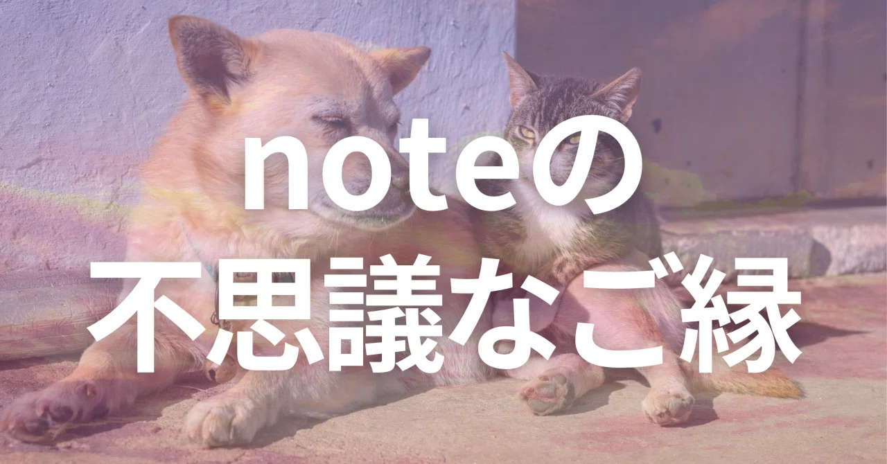 見出し画像