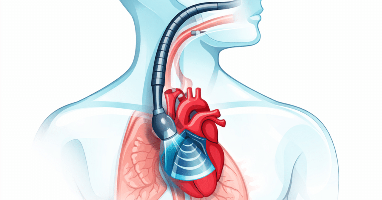 有料】2025Jbpot過去問復元+短期決戦・攻略メモ｜麻酔科医Daiの食と余白