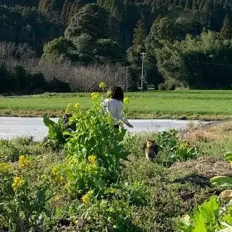 ハルノツキ