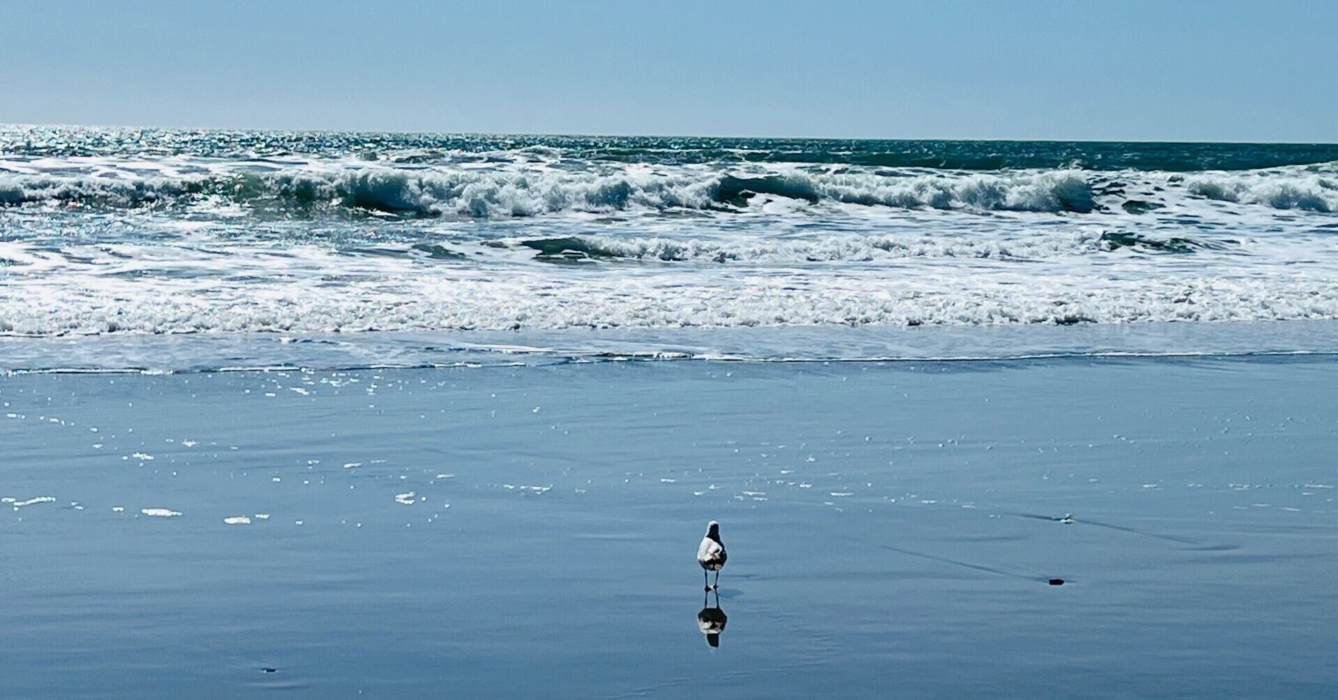 real_world_map｜note