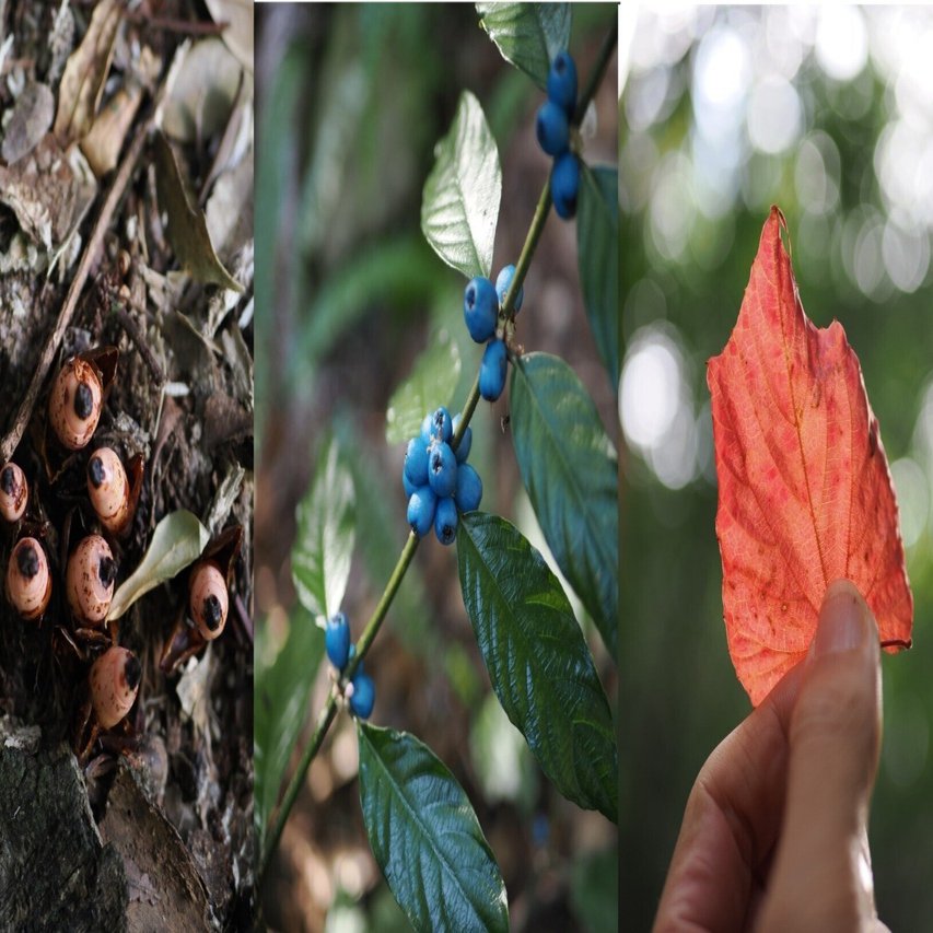 冬でもカラフルな植物が目を楽しませてくれる！| OM SYSTEM OM-3