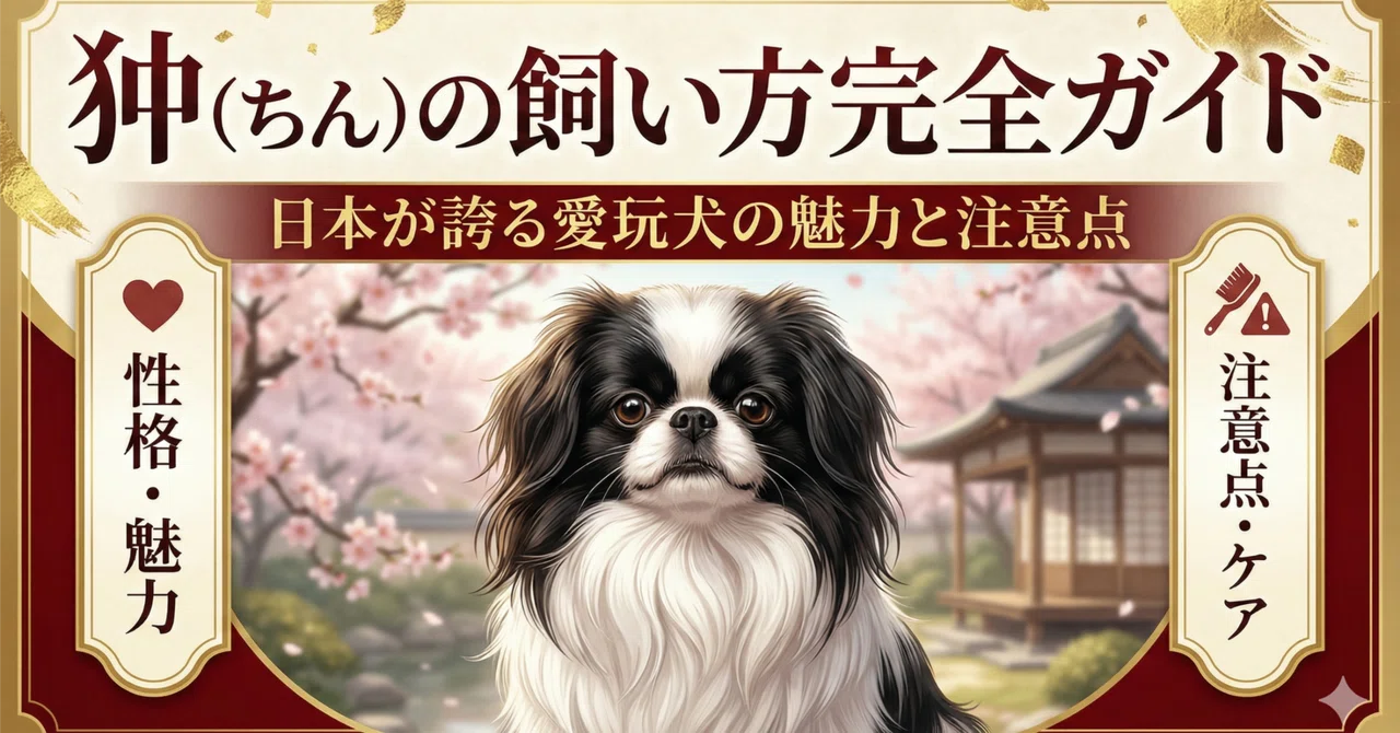 【保存版】狆（ちん）の飼い方完全ガイド：日本が誇る愛玩犬の魅力と注意点｜犬猫情報局