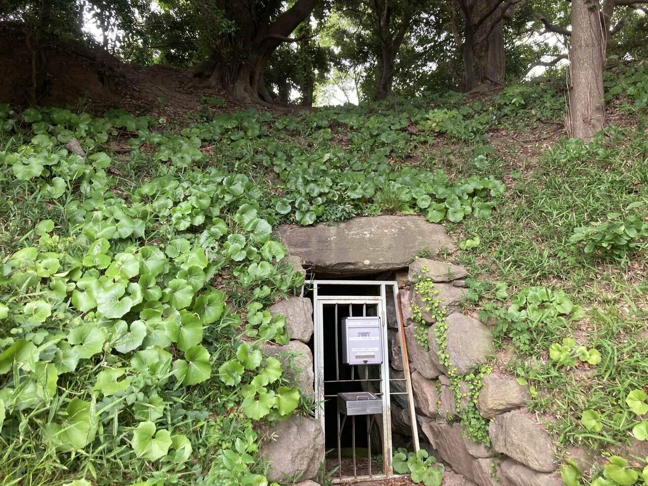2024年6月8日【島根】2日目 西谷墳墓群・今市大念寺古墳など