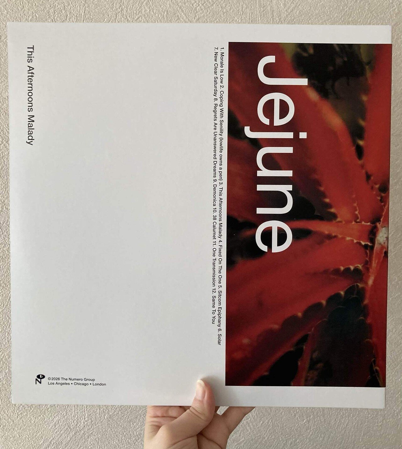 音楽レビュー】 #1 - Jejune / This Afternoons Malady｜overaaaaa