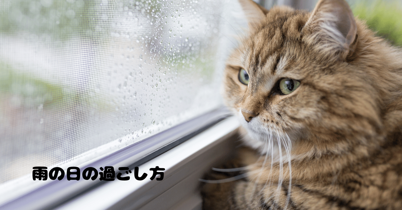 雨が好きなひと 好きな理由と過ごし方 Luna Note 雨が好きなひと 好きな理由と過ごし方 Luna Note