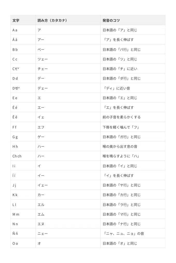 チェコ語】これ1冊！単語1200語+初心者向け基本文法解説 193ページ