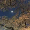 ちか