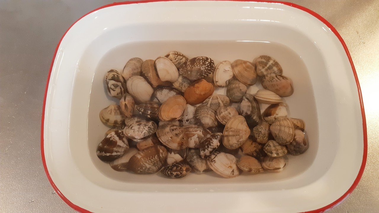 抜き 砂 アサリ の