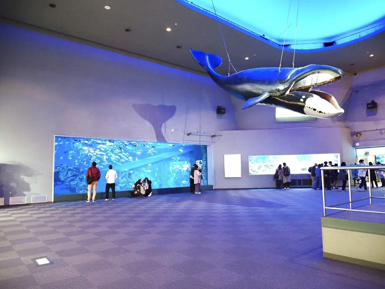 愛知・三重旅2026③鳥羽水族館｜ジョルジョ・ウッチェリ