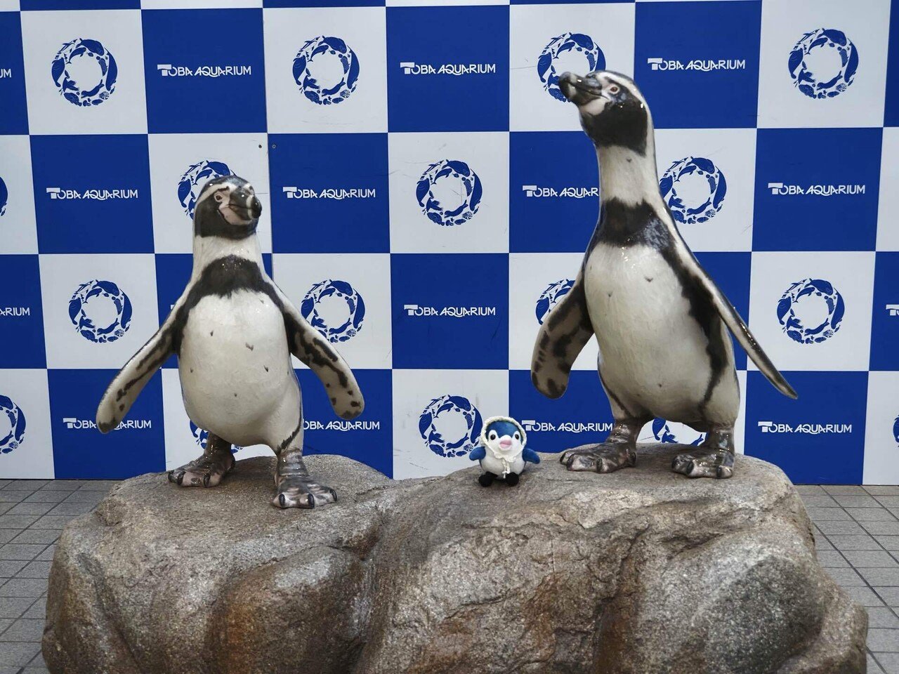 愛知・三重旅2026③鳥羽水族館｜ジョルジョ・ウッチェリ