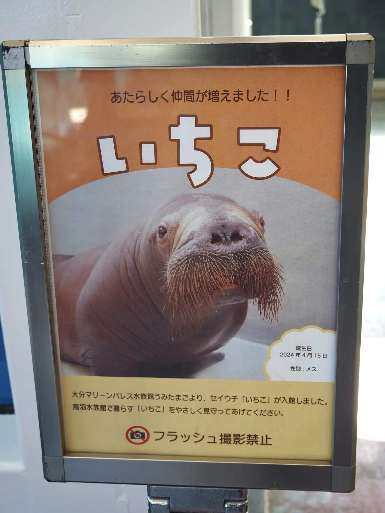 愛知・三重旅2026③鳥羽水族館｜ジョルジョ・ウッチェリ