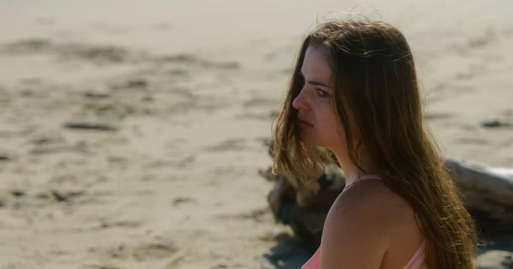 SHARK TERROR / シャーク・アイランド（2026年2月4日DVD発売）｜eigadays