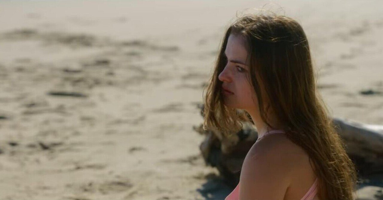 SHARK TERROR / シャーク・アイランド（2026年2月4日DVD発売）｜eigadays