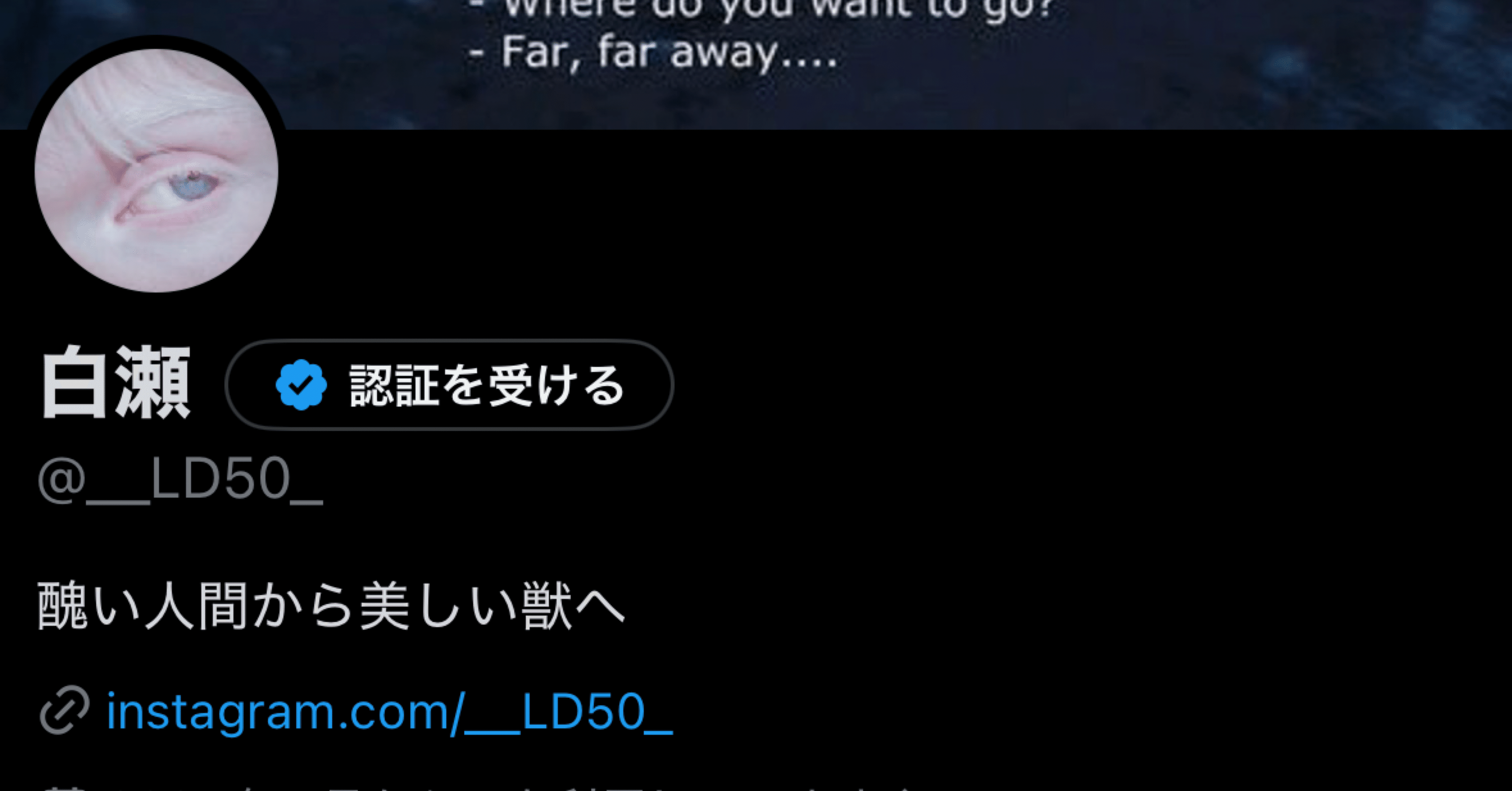 嬉しかったことと、軽い自己紹介｜白瀬