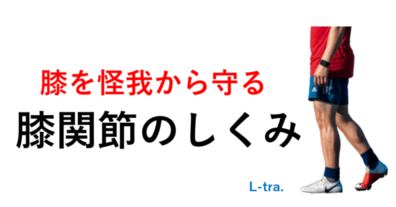 膝を怪我から守る膝関節のしくみ 宮田 洋佑 柔道整復師 Jspo At Note