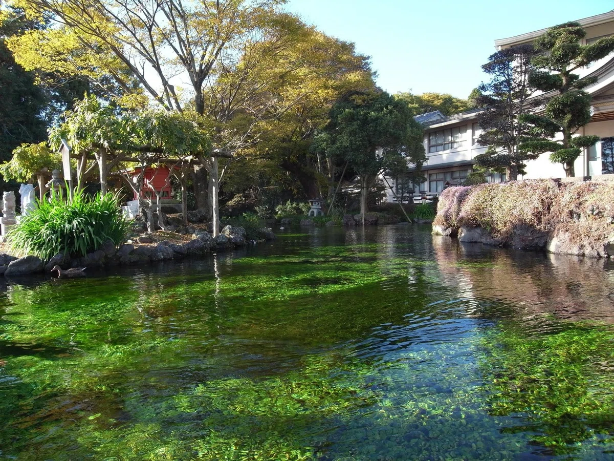 画像8