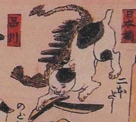 No 7 ふわふわ もふもふฅ ﻌ ฅ 日本画の犬と猫 Kazusa Note