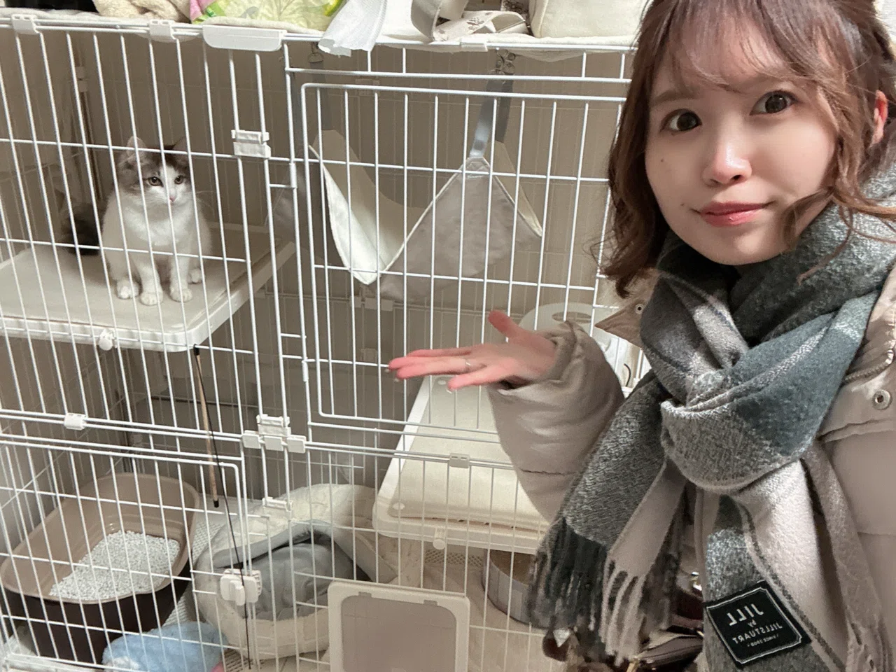 みけねこ様 お取り置き 9点 noteでいただいた初めての収益の、使い道のおはなし｜水谷みく｜お嬢様