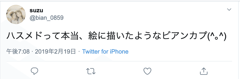 嘘松 くさい ハスメド とそれを実話と信じている百合豚について ハスメドって何だ 編 N Note 嘘松 くさい ハスメド とそれを実話と信じている百合豚について ハスメドって何だ 編 N Note