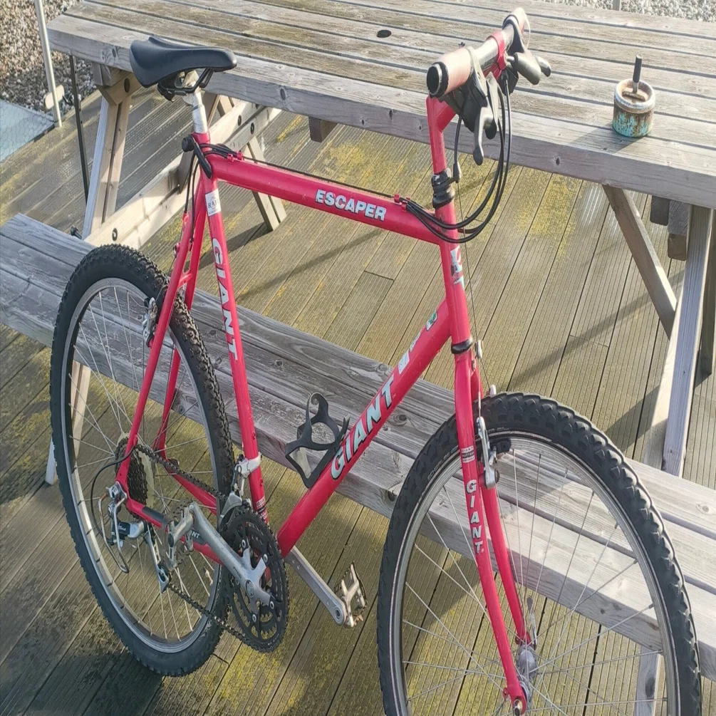 オランダの自転車事情｜IRITOMO