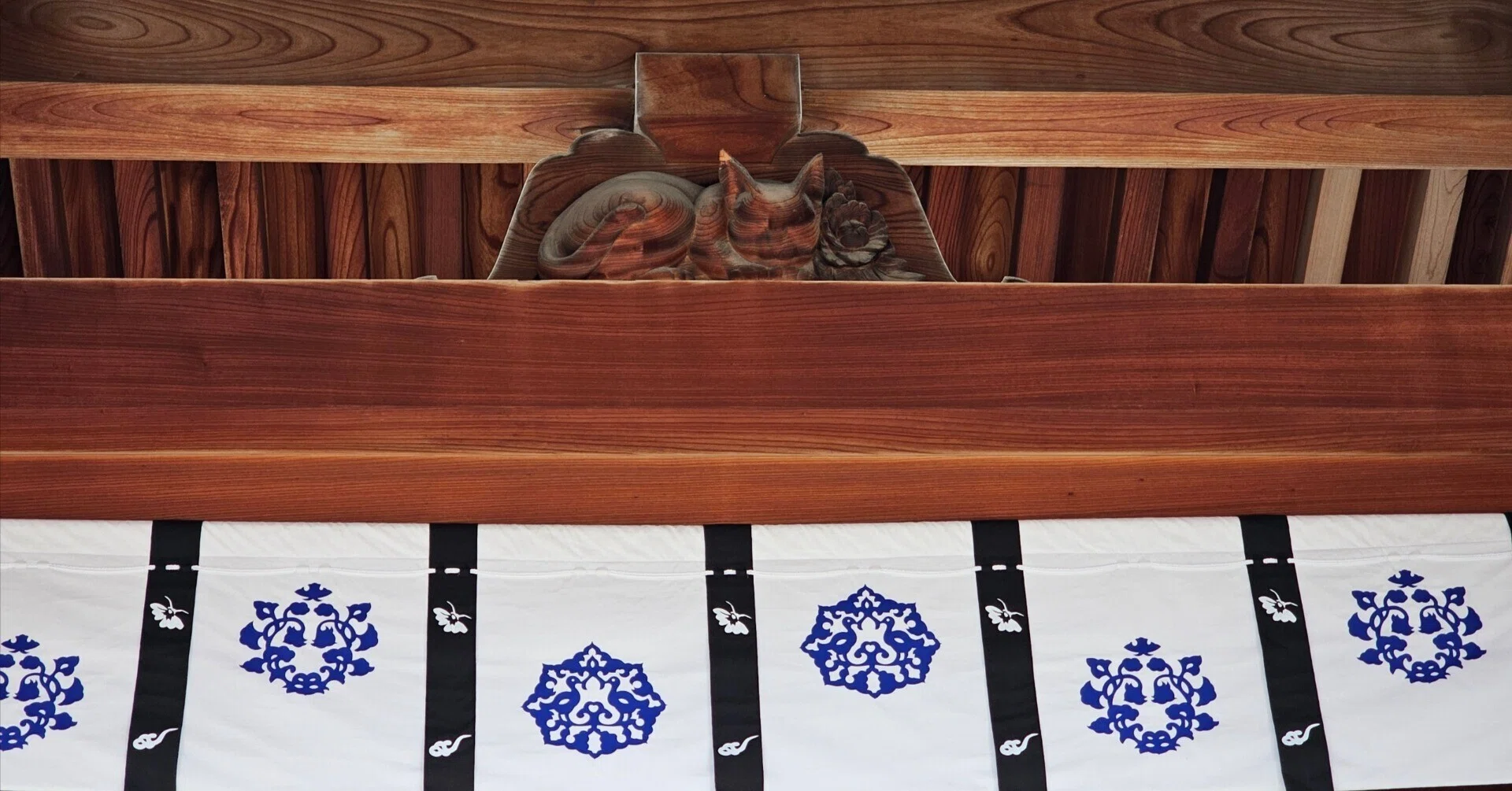 社寺散歩｜四天王寺・猫の門の猫｜大阪｜xicano