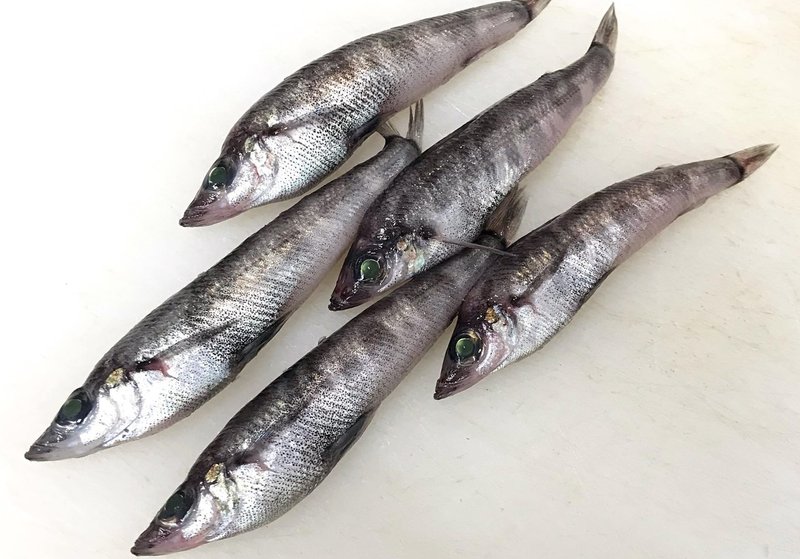 新説 魚食レポvol 1 メヒカリの炙り姿鮨はマシュマロだった かにへー 魚食と言葉 Note 新説 魚食レポvol 1 メヒカリの炙り姿鮨はマシュマロだった かにへー 魚食と言葉 Note