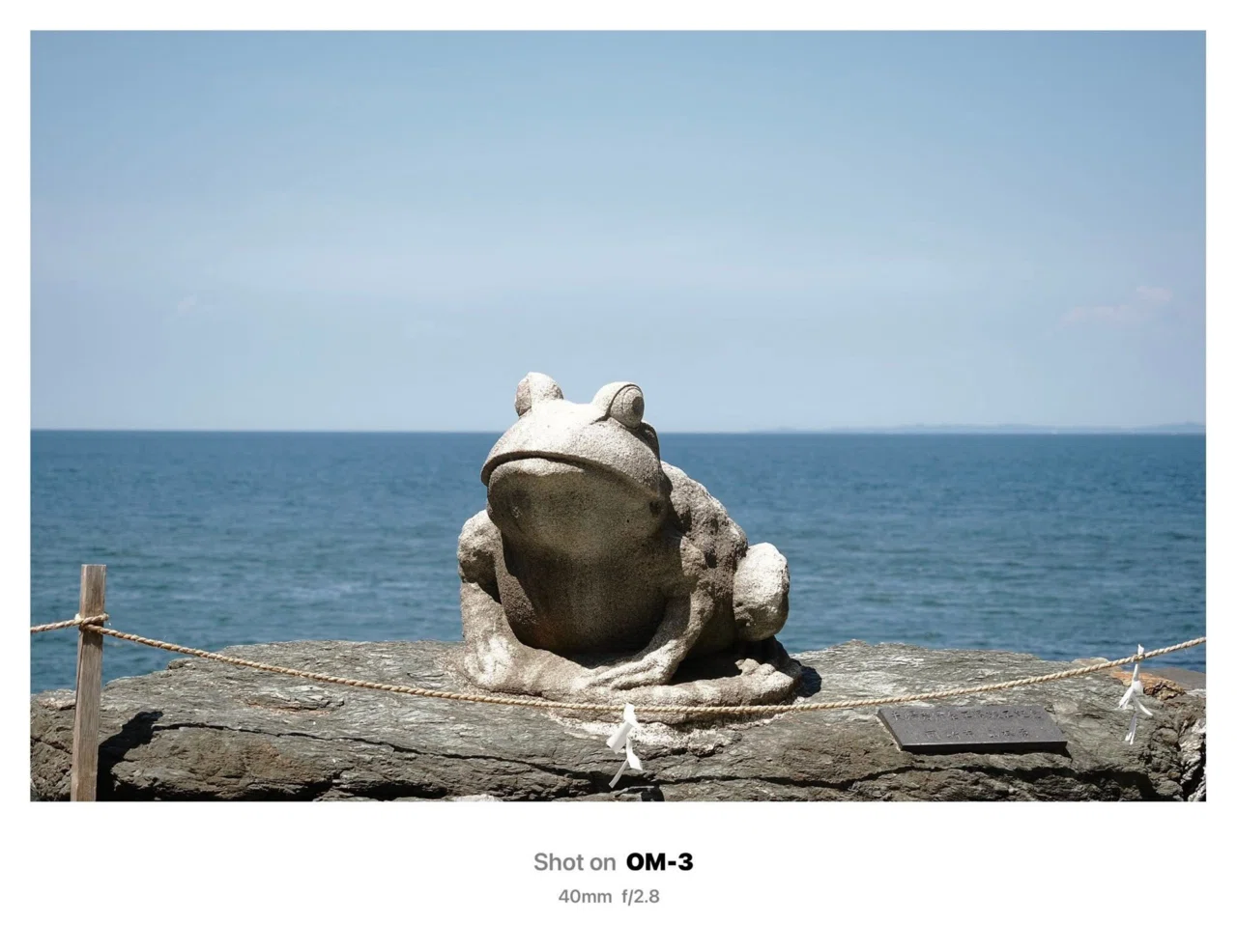 The OLYMPUS and OM I Enjoyed｜kii