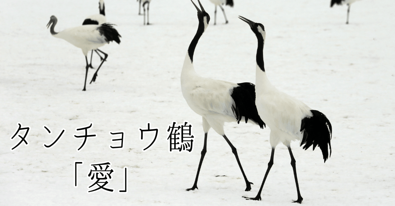 タンチョウ鶴の書道作品「愛」｜北海道の自然を飾る禅墨アート｜結婚