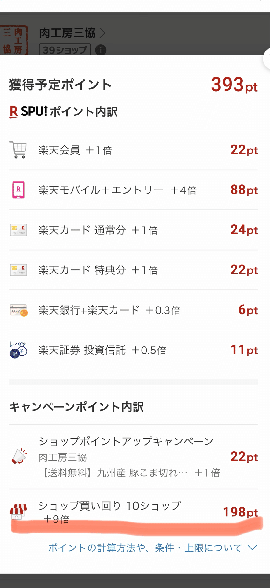 暮らし/月2回のまとめ買いで時短＆100万ポイント達成。楽天市場の活用