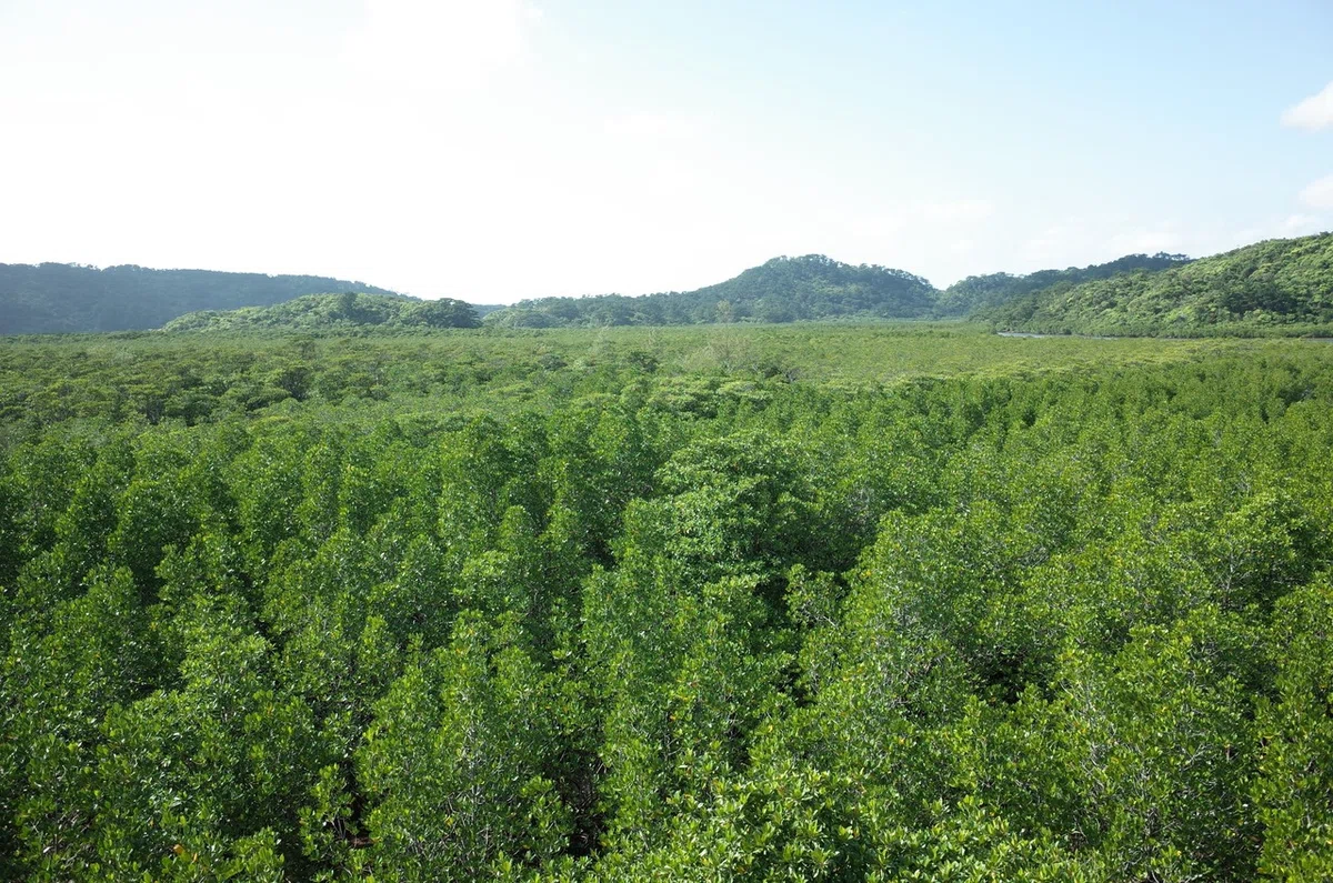 画像11