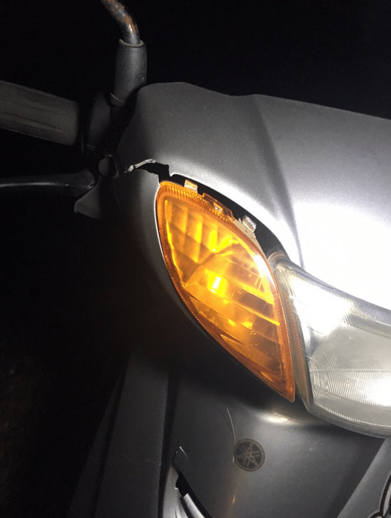 バイクで鹿と正面衝突した話 Alice Note