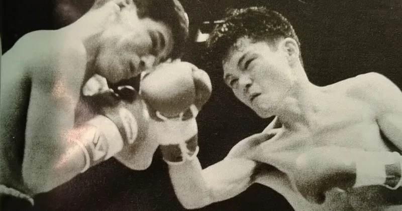 ボクシング douraku1967 Vol. 512 [Review of the 3 Major World
